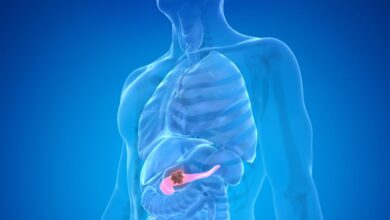 “Gana seis meses de vida”… Medicamento contra el cáncer de páncreas da esperanza para otros cánceres “Gana seis meses de vida”… Medicamento contra el cáncer de páncreas da esperanza para otros cánceres